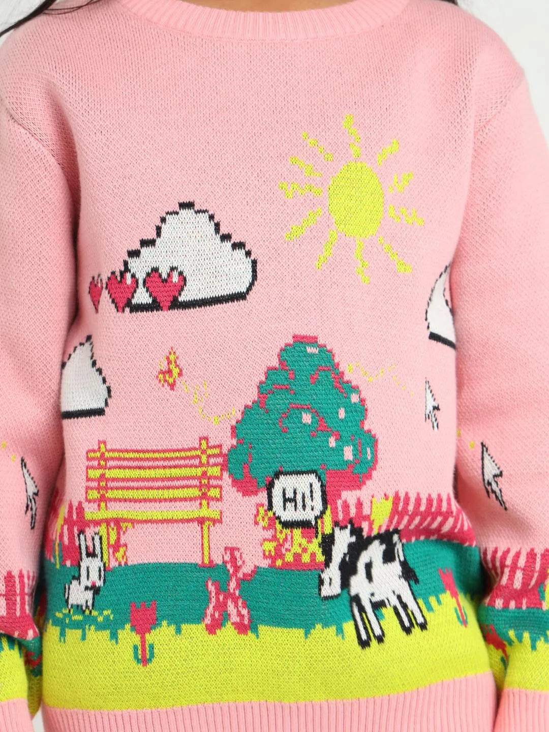 Farmland Printed Cotton Pullover Sweater