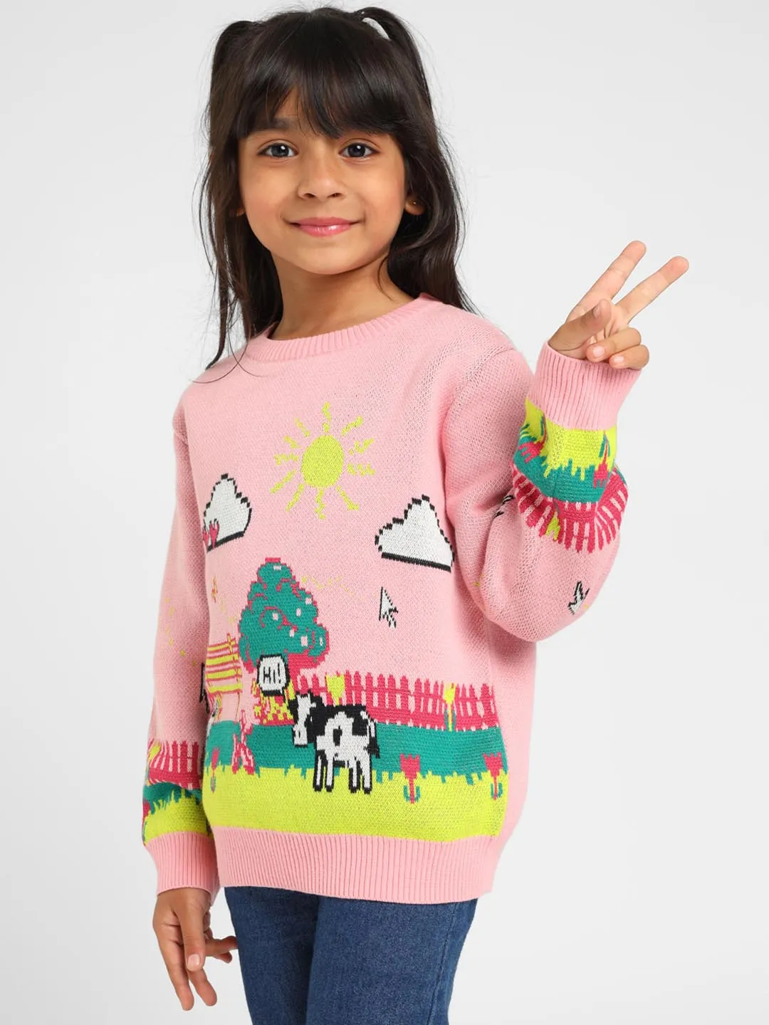 Farmland Printed Cotton Pullover Sweater